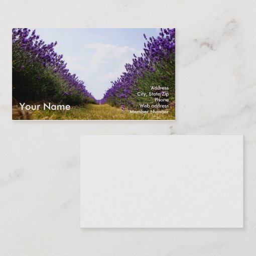 Row of Lavender Business Card Zazzle