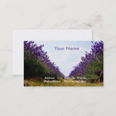 Row of Lavender Business Card (Front/Back)