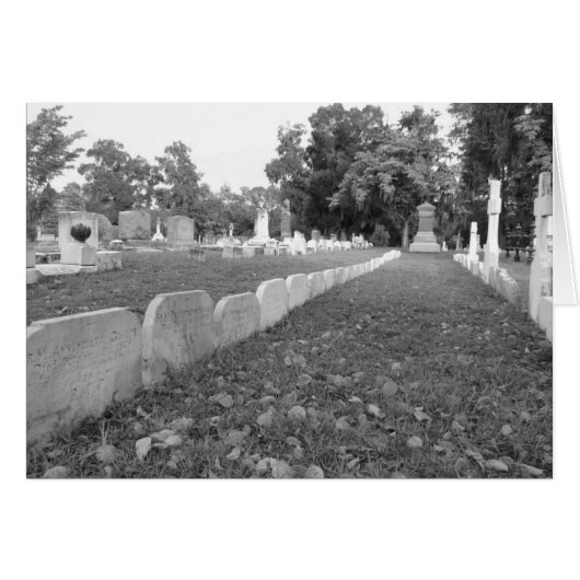 Row of Nuns Cards (Front Horizontal)