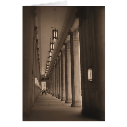 Row of Pillars - Civic Opera House - Chicago (Front)