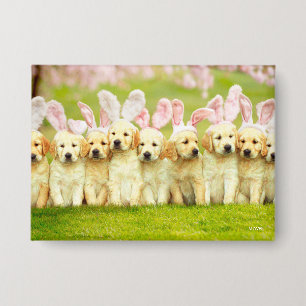Row of Puppy Bunnies Button