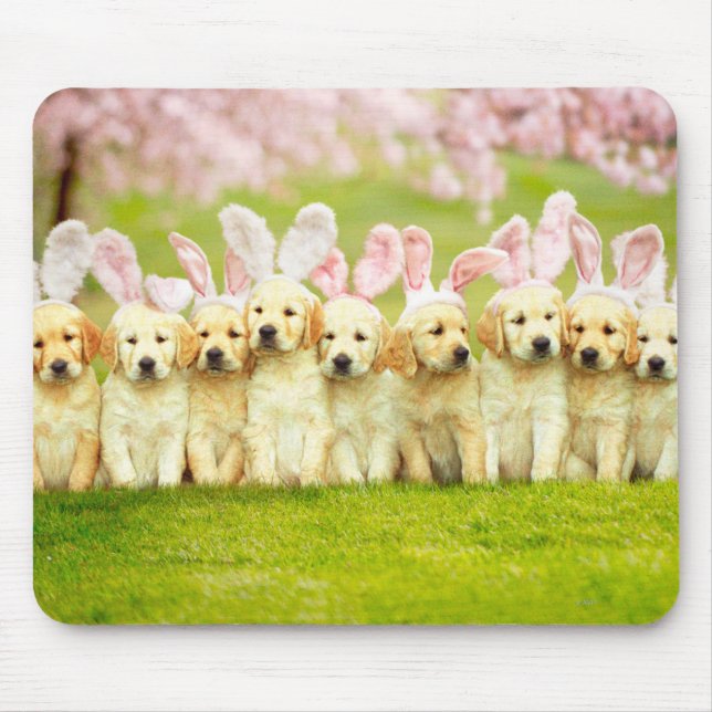 Row of Puppy Bunnies Mouse Pad (Front)