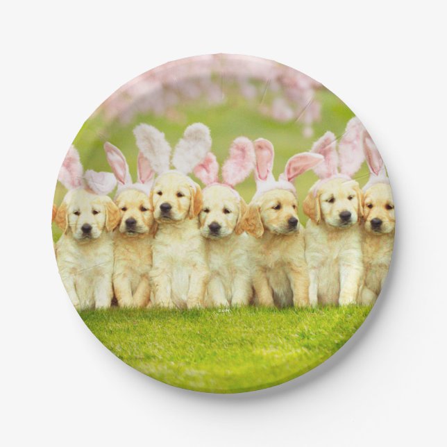 Row of Puppy Bunnies Paper Plates (Front)