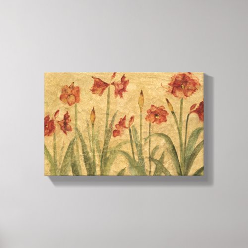 Row of Red Amaryllis Canvas Print