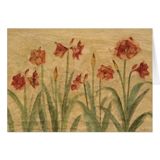 Row of Red Amaryllis Cards (Front Horizontal)