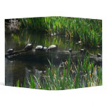 Row of Turtles Green Nature Photo 3 Ring Binder