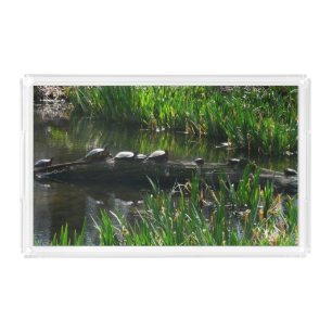 Row of Turtles Green Nature Photo Acrylic Tray
