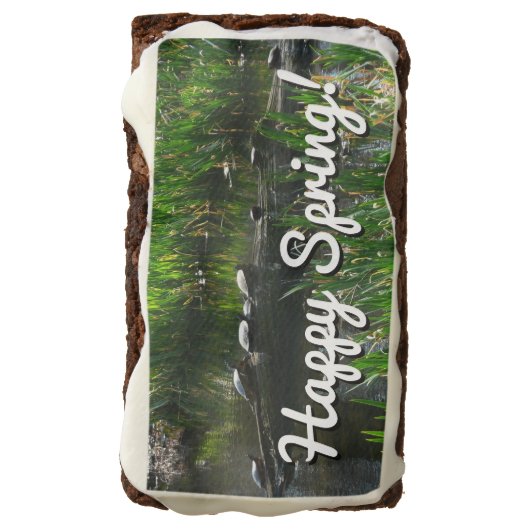 Row of Turtles Green Nature Photo Brownie (Rotated)