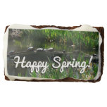 Row of Turtles Green Nature Photo Brownie