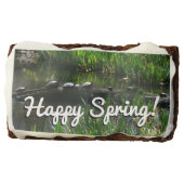 Row of Turtles Green Nature Photo Brownie (Front)