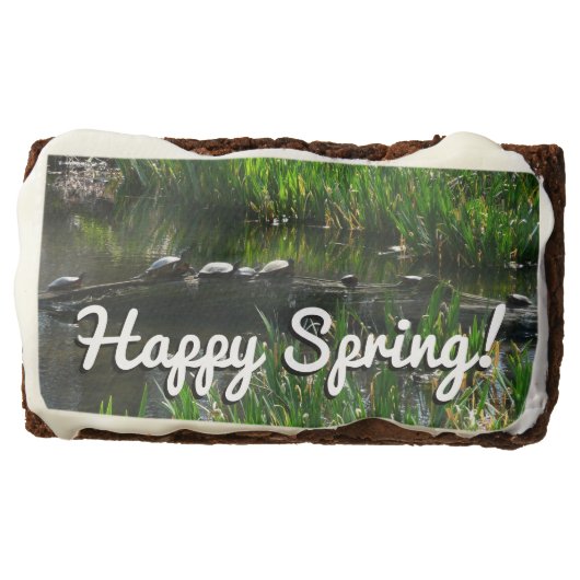 Row of Turtles Green Nature Photo Brownie (Front)