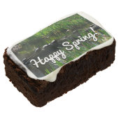 Row of Turtles Green Nature Photo Brownie (Angled)