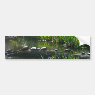 Row of Turtles Green Nature Photo Bumper Sticker