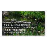 Row of Turtles Green Nature Photo Business Card Magnet