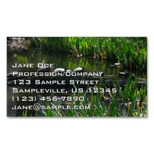 Row of Turtles Green Nature Photo Business Card Magnet