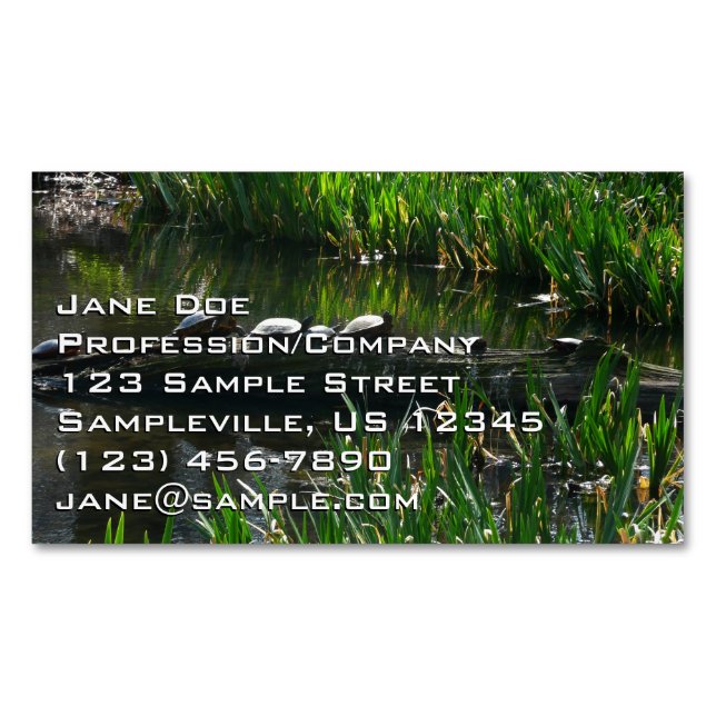 Row of Turtles Green Nature Photo Business Card Magnet (Front)