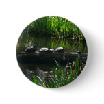 Row of Turtles Green Nature Photo Button