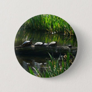 Row of Turtles Green Nature Photo Button