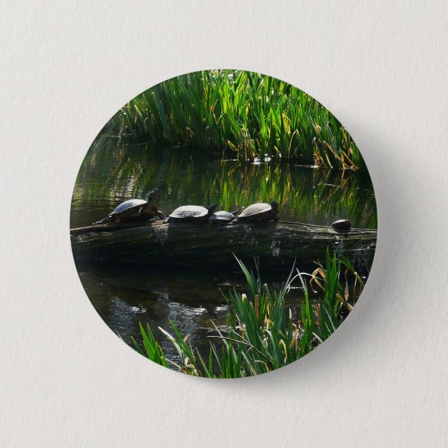Row of Turtles Green Nature Photo Button (Front)