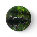 Row of Turtles Green Nature Photo Button