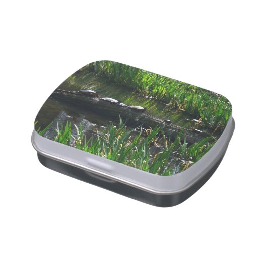 Row of Turtles Green Nature Photo Candy Tin (Side)