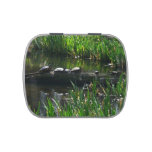 Row of Turtles Green Nature Photo Candy Tin