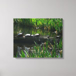 Row of Turtles Green Nature Photo Canvas Print