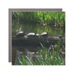 Row of Turtles Green Nature Photo Car Magnet