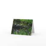 Row of Turtles Green Nature Photo Card