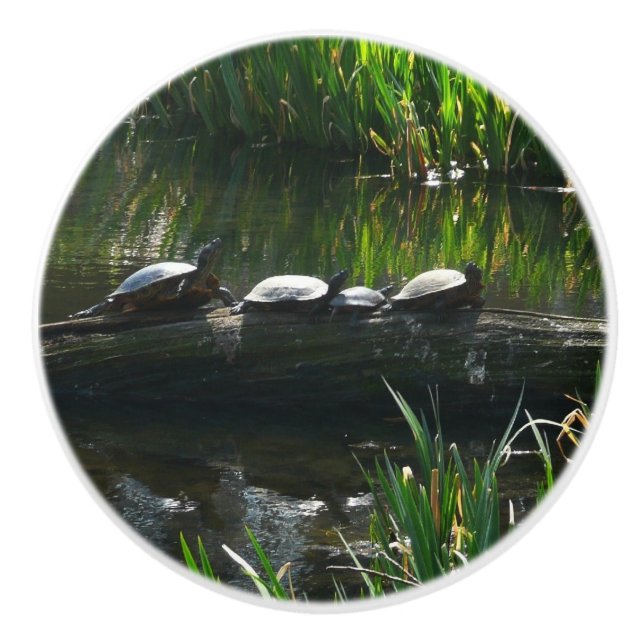 Row of Turtles Green Nature Photo Ceramic Knob (Front)