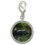 Row of Turtles Green Nature Photo Charm