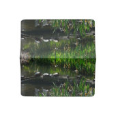 Row of Turtles Green Nature Photo Checkbook Cover (Open)