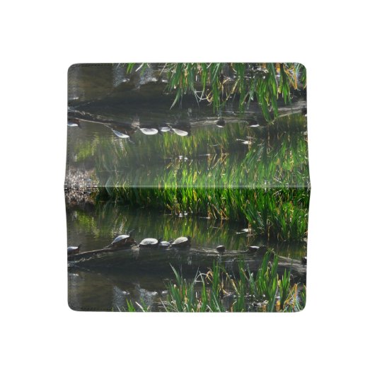 Row of Turtles Green Nature Photo Checkbook Cover (Open)