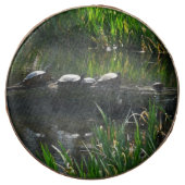 Row of Turtles Green Nature Photo Chocolate Covered Oreo (Front)