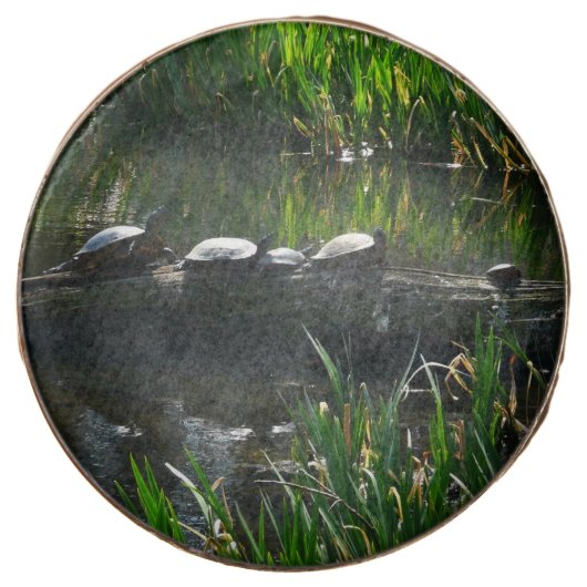 Row of Turtles Green Nature Photo Chocolate Covered Oreo (Front)