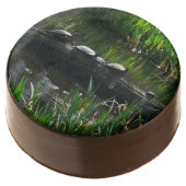 Row of Turtles Green Nature Photo Chocolate Covered Oreo (Angled)