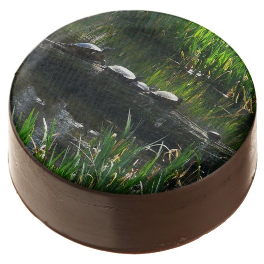 Row of Turtles Green Nature Photo Chocolate Covered Oreo (Angled)