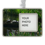 Row of Turtles Green Nature Photo Christmas Ornament