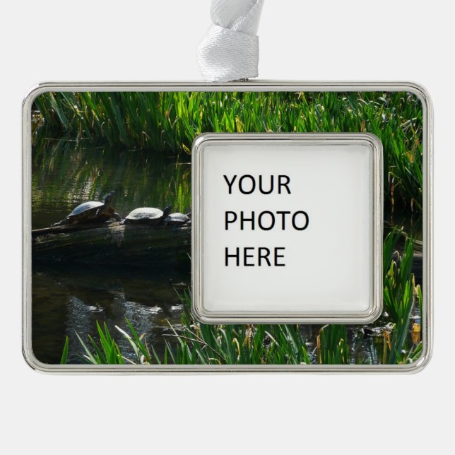 Row of Turtles Green Nature Photo Christmas Ornament (Front)