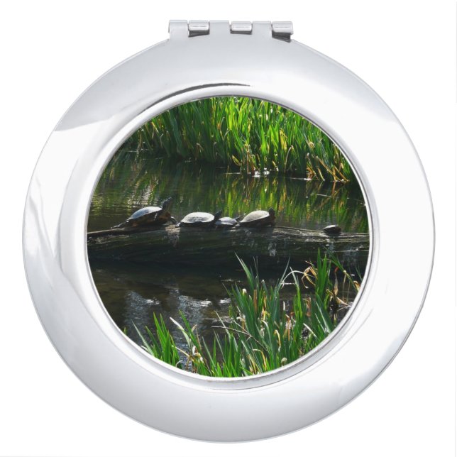 Row of Turtles Green Nature Photo Compact Mirror (Front)