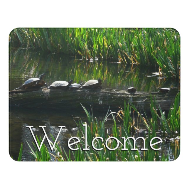Row of Turtles Green Nature Photo Door Sign (Contemporary Front)
