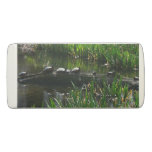 Row of Turtles Green Nature Photo Eraser