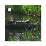 Row of Turtles Green Nature Photo Favor Tags
