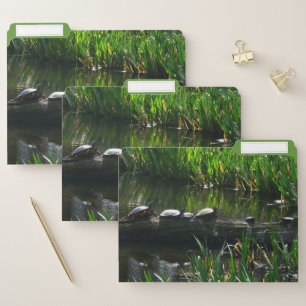 Row of Turtles Green Nature Photo File Folder