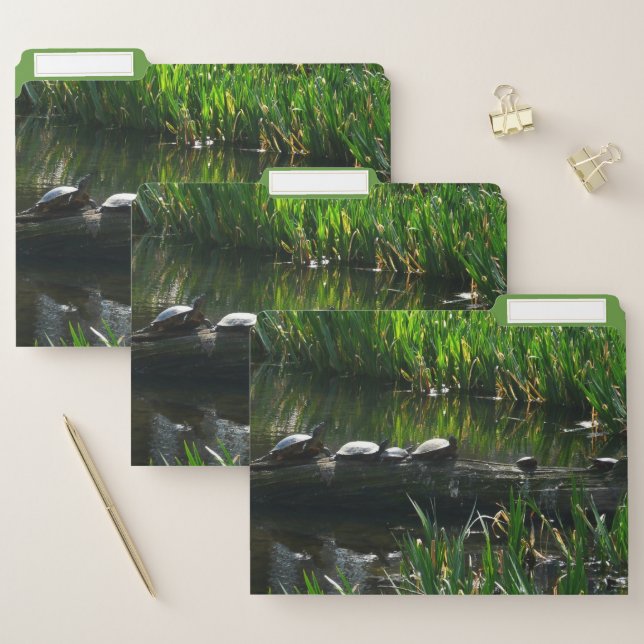 Row of Turtles Green Nature Photo File Folder (Set)
