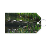 Row of Turtles Green Nature Photo Gift Tags
