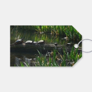 Row of Turtles Green Nature Photo Gift Tags