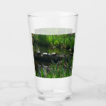 Row of Turtles Green Nature Photo Glass