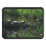Row of Turtles Green Nature Photo Hitch Cover