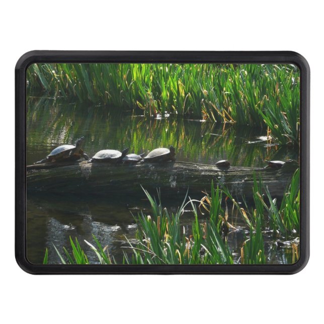 Row of Turtles Green Nature Photo Hitch Cover (Front)